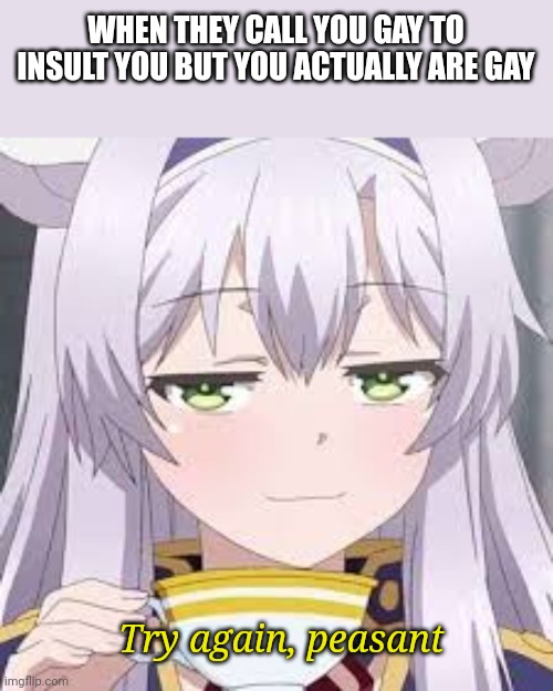 smug anime face | WHEN THEY CALL YOU GAY TO INSULT YOU BUT YOU ACTUALLY ARE GAY; Try again, peasant | image tagged in smug anime face | made w/ Imgflip meme maker