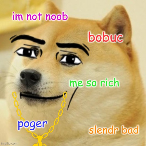 Doge Meme | im not noob; bobuc; me so rich; poger; slendr bad | image tagged in memes,doge | made w/ Imgflip meme maker