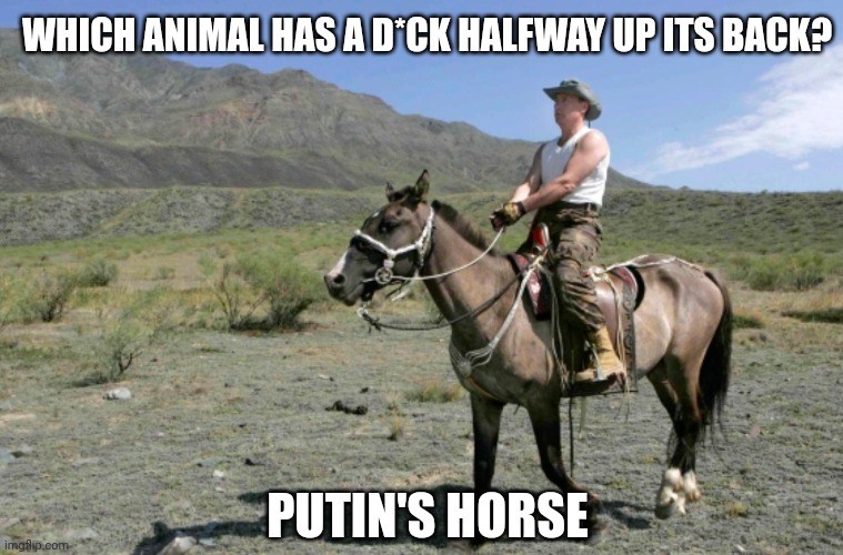 Quiz | WHICH ANIMAL HAS A D*CK HALFWAY UP ITS BACK? PUTIN'S HORSE | image tagged in politics,vladimir putin,russia,ukraine,memes | made w/ Imgflip meme maker