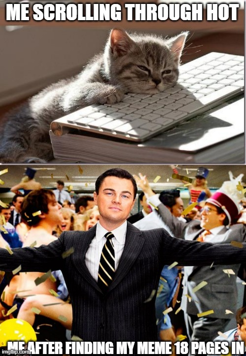  ME SCROLLING THROUGH HOT; ME AFTER FINDING MY MEME 18 PAGES IN | image tagged in bored keyboard cat,wolf party | made w/ Imgflip meme maker