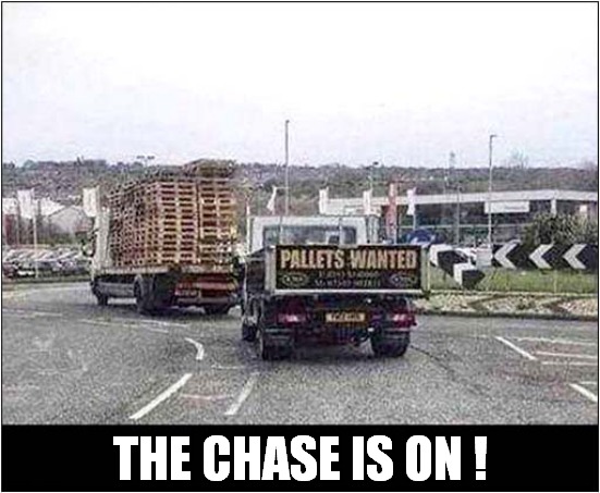 Prey Sighted ! |  THE CHASE IS ON ! | image tagged in fun,hunting,pallets,visual pun | made w/ Imgflip meme maker