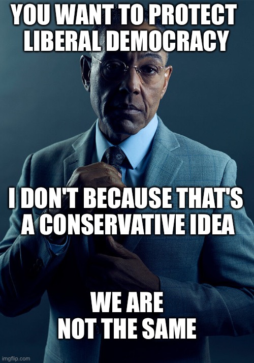 Gus Fring we are not the same | YOU WANT TO PROTECT 
LIBERAL DEMOCRACY; I DON'T BECAUSE THAT'S 
A CONSERVATIVE IDEA; WE ARE NOT THE SAME | image tagged in gus fring we are not the same | made w/ Imgflip meme maker