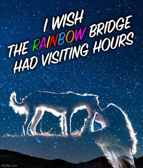 Rainbow Bridge | image tagged in puppy love | made w/ Imgflip meme maker