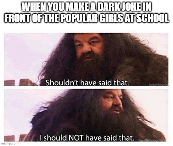 run hagrid run | WHEN YOU MAKE A DARK JOKE IN FRONT OF THE POPULAR GIRLS AT SCHOOL | image tagged in hagrid shouldn't have said that,offensive jokes,popular kids,memes,school,dark humor | made w/ Imgflip meme maker