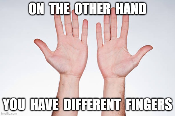 fingers | ON  THE  OTHER  HAND; YOU  HAVE  DIFFERENT  FINGERS | image tagged in hands | made w/ Imgflip meme maker