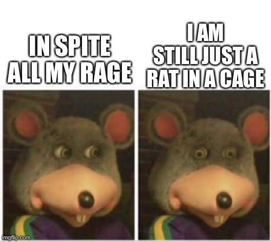 Rat in a cage | I AM STILL JUST A RAT IN A CAGE; IN SPITE ALL MY RAGE | image tagged in chuck e cheese rat stare | made w/ Imgflip meme maker