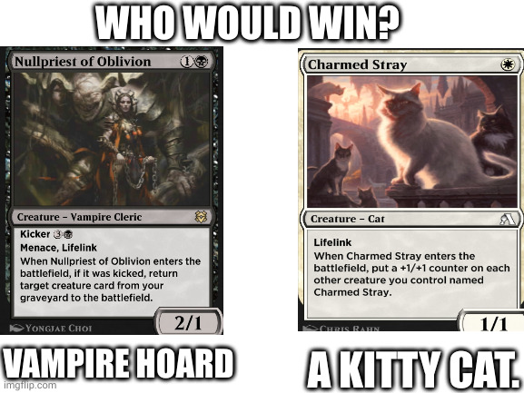 MtG:Areana be like: | WHO WOULD WIN? VAMPIRE HOARD; A KITTY CAT. | image tagged in blank white template | made w/ Imgflip meme maker