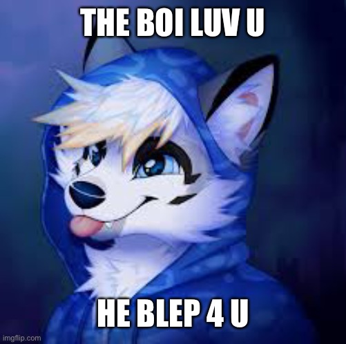 He blep for u | THE BOI LUV U; HE BLEP 4 U | image tagged in furry blep,wholesome | made w/ Imgflip meme maker