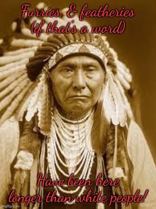 Native American | Furries, & featheries (if that's a word) Have been here longer than white people! | image tagged in native american | made w/ Imgflip meme maker
