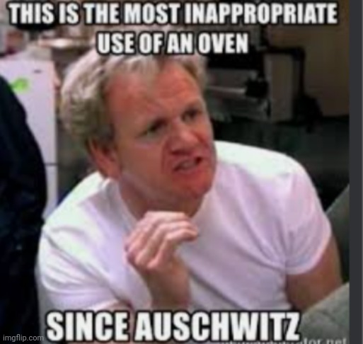 I bet one dumbass guard in Auschwitz tried to bake something in the ovens other than humans | image tagged in chef gordon ramsay | made w/ Imgflip meme maker