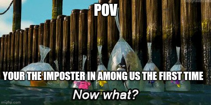 Now What? | POV; YOUR THE IMPOSTER IN AMONG US THE FIRST TIME | image tagged in now what | made w/ Imgflip meme maker