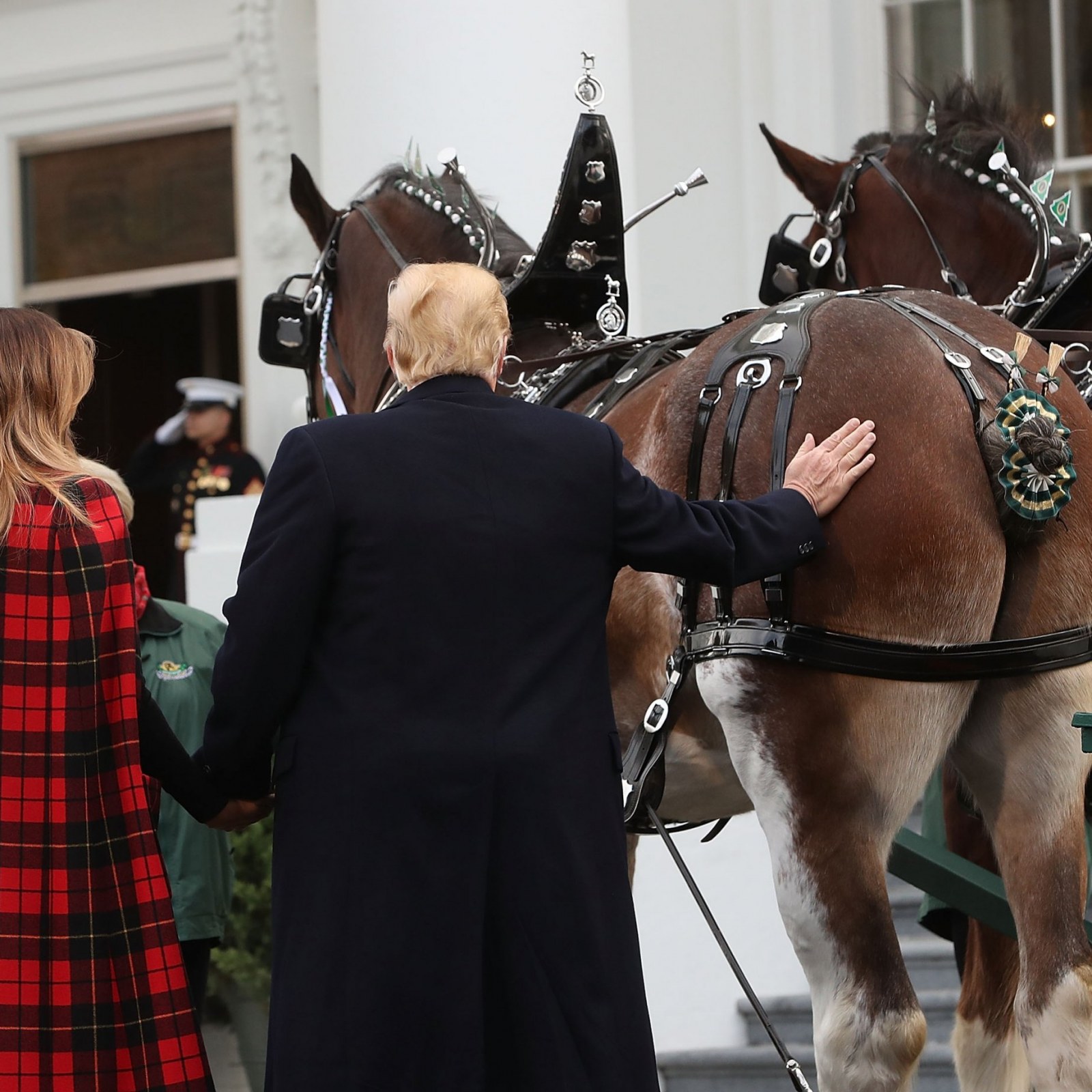 Trump and horse Blank Meme Template
