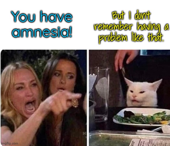 A dismemberance of things past | But I don't remember having a problem like that. You have amnesia! | image tagged in lady screams at cat,mental health,confused cat | made w/ Imgflip meme maker