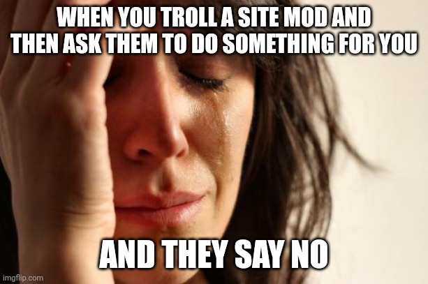 First World Problems | WHEN YOU TROLL A SITE MOD AND THEN ASK THEM TO DO SOMETHING FOR YOU; AND THEY SAY NO | image tagged in memes,first world problems | made w/ Imgflip meme maker