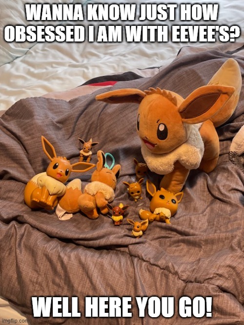 My obsession with Eevee has been revealed | WANNA KNOW JUST HOW OBSESSED I AM WITH EEVEE'S? WELL HERE YOU GO! | image tagged in memes,eevee,pokemon,stop reading the tags,or,barney will eat all of your delectable biscuits | made w/ Imgflip meme maker