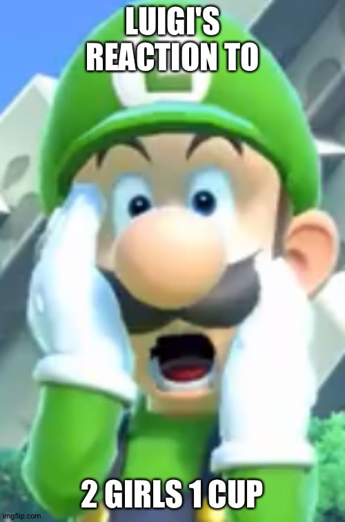 Oh No! | LUIGI'S REACTION TO; 2 GIRLS 1 CUP | image tagged in oh no | made w/ Imgflip meme maker