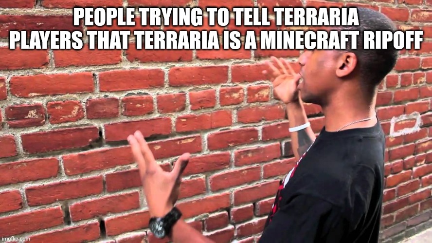 Nope | PEOPLE TRYING TO TELL TERRARIA PLAYERS THAT TERRARIA IS A MINECRAFT RIPOFF | image tagged in brick wall | made w/ Imgflip meme maker