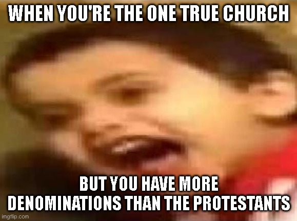 Screaming Kid | WHEN YOU'RE THE ONE TRUE CHURCH BUT YOU HAVE MORE DENOMINATIONS THAN THE PROTESTANTS | image tagged in screaming kid | made w/ Imgflip meme maker