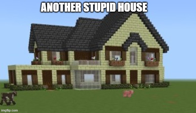 The roof was a pain | ANOTHER STUPID HOUSE | made w/ Imgflip meme maker