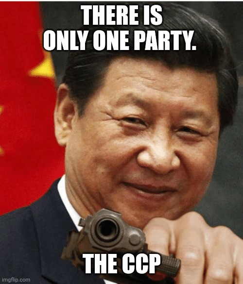 Xi Jinping | THERE IS ONLY ONE PARTY. THE CCP | image tagged in xi jinping | made w/ Imgflip meme maker