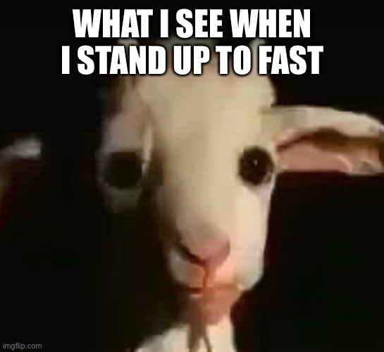 Ow | WHAT I SEE WHEN I STAND UP TO FAST | image tagged in memes | made w/ Imgflip meme maker