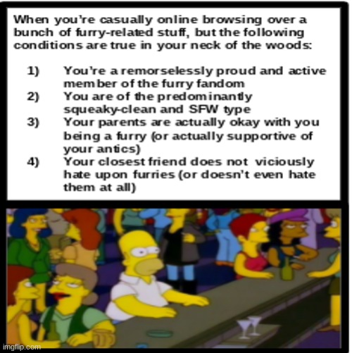 This is actually me right now in the furry fandom - now I feel really bad for those who aren't as accepted - I'm really sorry | image tagged in simothefinlandized,furry memes,homer bar | made w/ Imgflip meme maker