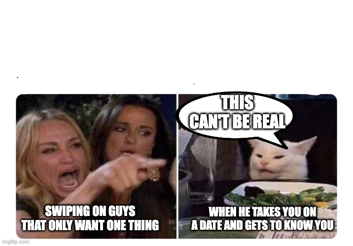 Housewives cat | THIS CAN'T BE REAL; WHEN HE TAKES YOU ON A DATE AND GETS TO KNOW YOU; SWIPING ON GUYS THAT ONLY WANT ONE THING | image tagged in housewives cat | made w/ Imgflip meme maker
