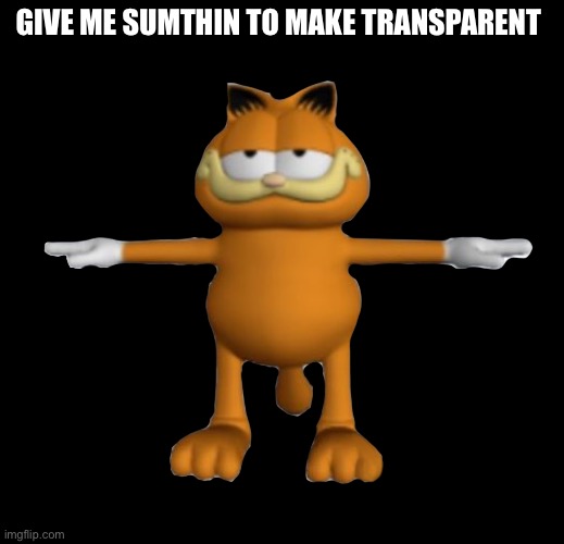 Garfield.PnG | GIVE ME SUMTHIN TO MAKE TRANSPARENT | image tagged in garfield png | made w/ Imgflip meme maker