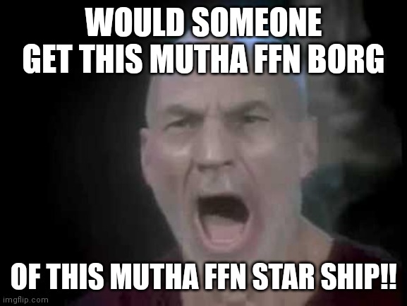 Picard Four Lights | WOULD SOMEONE GET THIS MUTHA FFN BORG; OF THIS MUTHA FFN STAR SHIP!! | image tagged in picard four lights | made w/ Imgflip meme maker