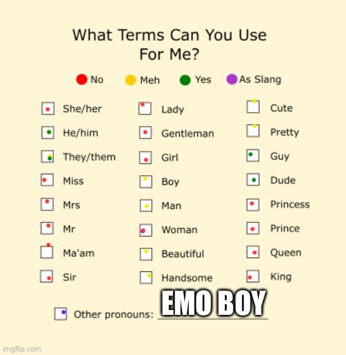 Pronouns Sheet | EMO BOY | image tagged in pronouns sheet | made w/ Imgflip meme maker