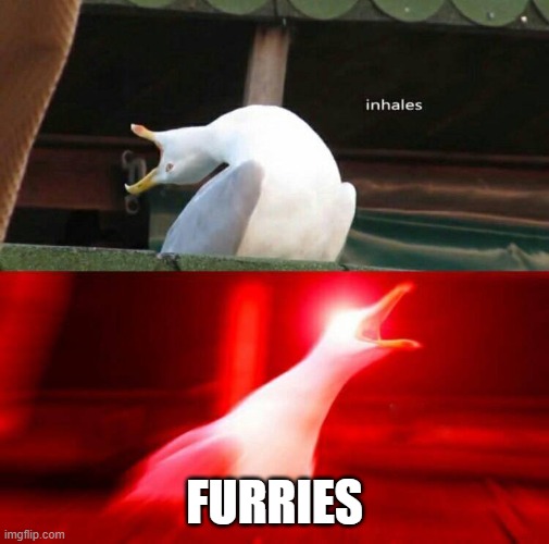 Inhaling Seagull  | FURRIES | image tagged in inhaling seagull | made w/ Imgflip meme maker