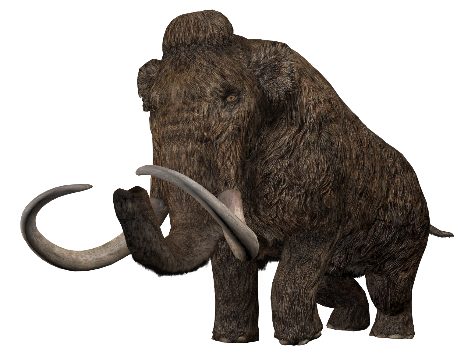 Woolly Mammoth (JWA Design) Blank Meme Template