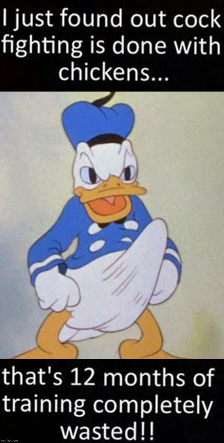 image tagged in donald duck boner,fighting | made w/ Imgflip meme maker