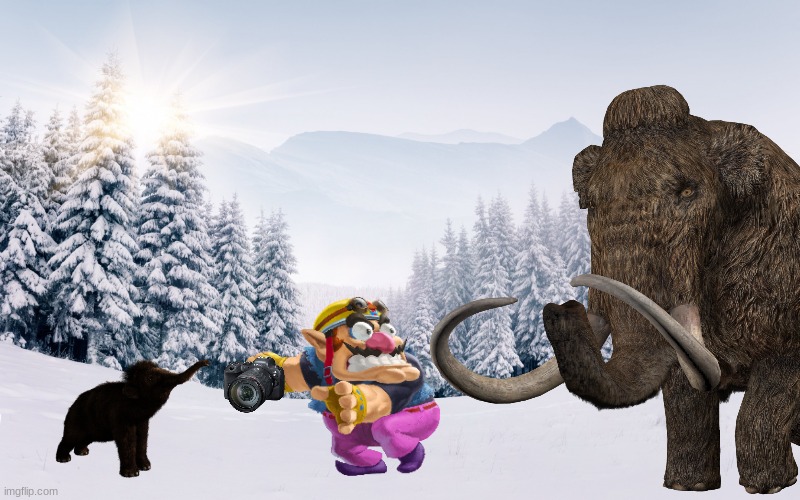Wario dies by a Woolly Mammoth while taking pictures with it's calf | image tagged in wario dies,wario,prehistoric,animals,elephant,ice age | made w/ Imgflip meme maker