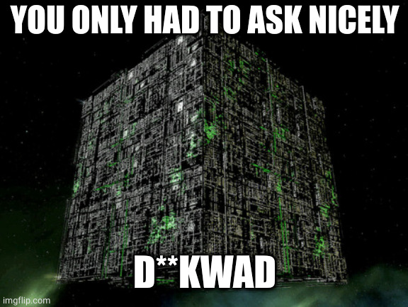 The Grammar Borg | YOU ONLY HAD TO ASK NICELY D**KWAD | image tagged in the grammar borg | made w/ Imgflip meme maker