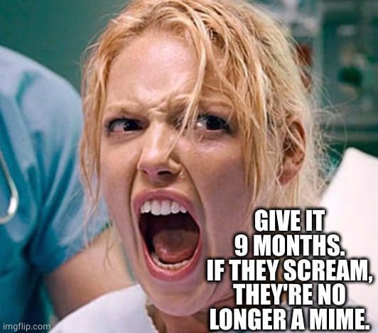 pushing harder than a pregnant lady | GIVE IT 9 MONTHS.
IF THEY SCREAM, THEY'RE NO LONGER A MIME. | image tagged in pushing harder than a pregnant lady | made w/ Imgflip meme maker
