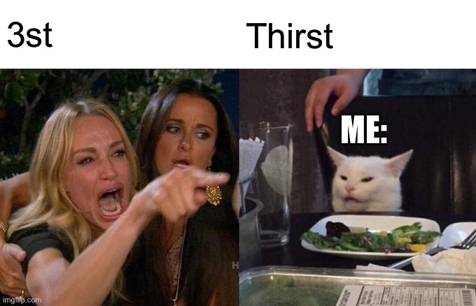 Woman Yelling At Cat Meme | 3st Thirst ME: | image tagged in memes,woman yelling at cat | made w/ Imgflip meme maker