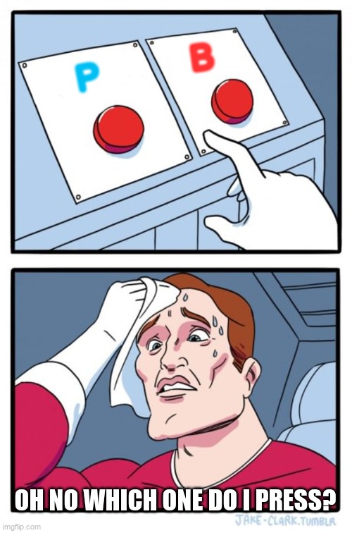 which button should he press? say in the comments | B; P; OH NO WHICH ONE DO I PRESS? | image tagged in memes,two buttons | made w/ Imgflip meme maker