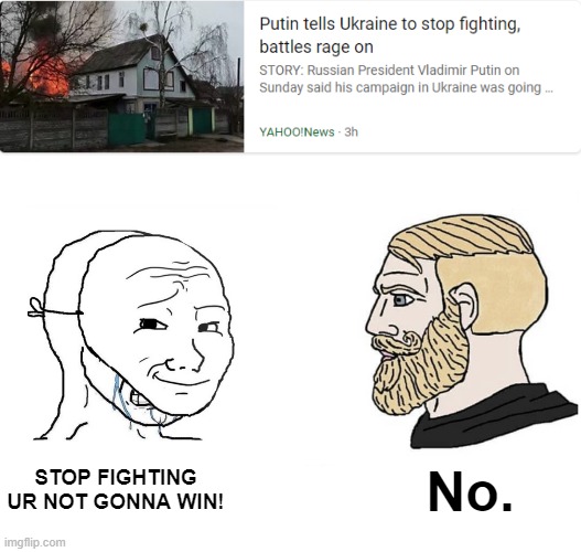 virgin putin vrs chad zelenskiy | STOP FIGHTING UR NOT GONNA WIN! No. | image tagged in masked wojak vs chad,russia,ukraine,chad,soyboy vs yes chad,barney will eat all of your delectable biscuits | made w/ Imgflip meme maker