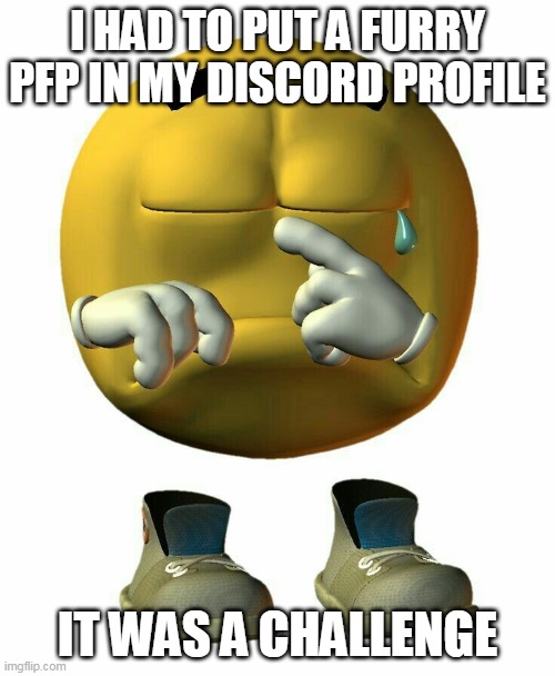 Zad | I HAD TO PUT A FURRY PFP IN MY DISCORD PROFILE; IT WAS A CHALLENGE | made w/ Imgflip meme maker