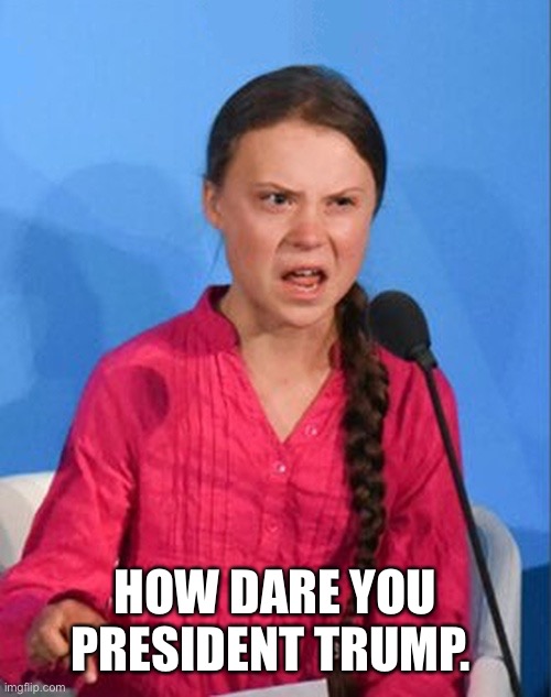 Greta Thunberg how dare you | HOW DARE YOU PRESIDENT TRUMP. | image tagged in greta thunberg how dare you | made w/ Imgflip meme maker