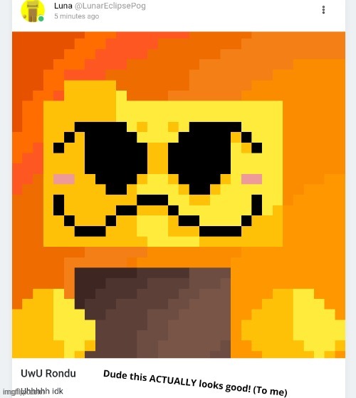 Funi Rondu Pixilart I made | image tagged in funi rondu | made w/ Imgflip meme maker