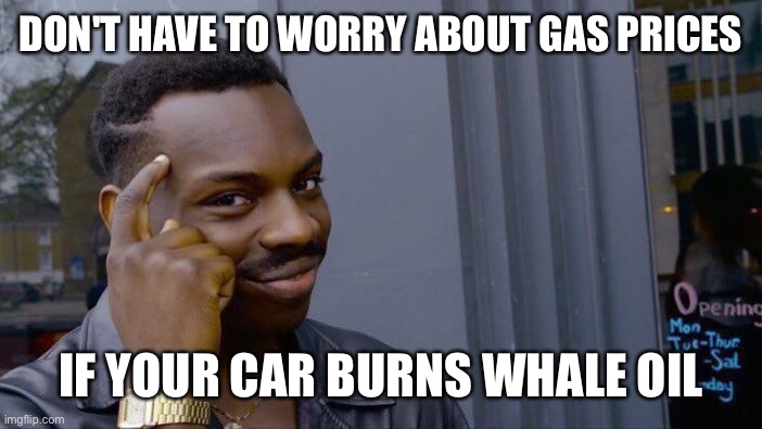 Roll Safe Think About It | DON'T HAVE TO WORRY ABOUT GAS PRICES; IF YOUR CAR BURNS WHALE OIL | image tagged in memes,roll safe think about it | made w/ Imgflip meme maker