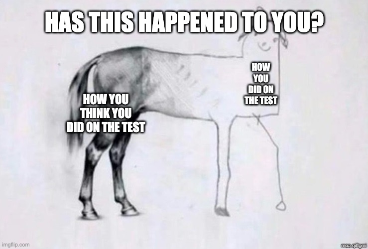 Horse Drawing | HAS THIS HAPPENED TO YOU? HOW YOU DID ON THE TEST; HOW YOU
THINK YOU
DID ON THE TEST | image tagged in horse drawing | made w/ Imgflip meme maker