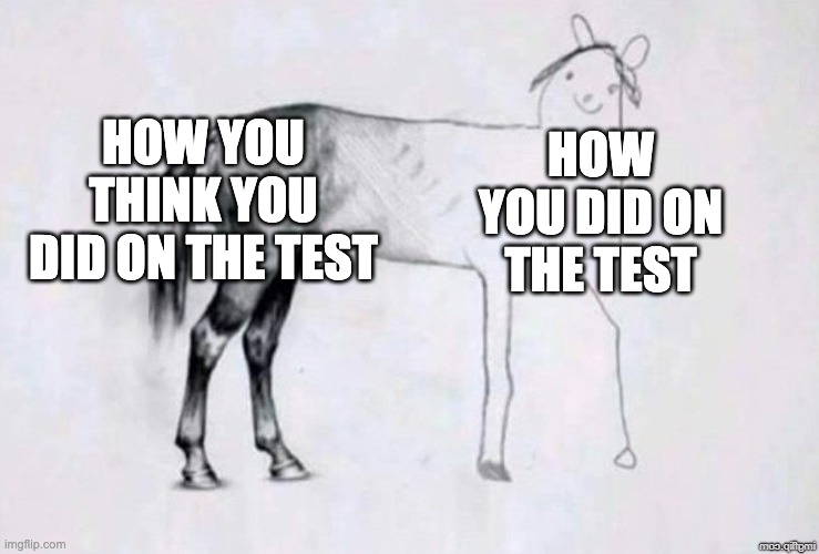 Horse Drawing | HOW YOU THINK YOU DID ON THE TEST; HOW YOU DID ON THE TEST | image tagged in horse drawing | made w/ Imgflip meme maker