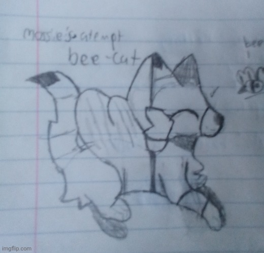 Bee-cat :D | image tagged in bees,cats | made w/ Imgflip meme maker