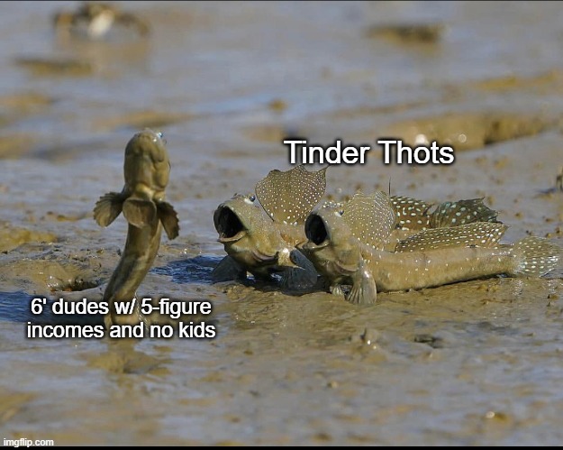 I got's to get me summa dat | Tinder Thots; 6' dudes w/ 5-figure incomes and no kids | image tagged in mudskippers | made w/ Imgflip meme maker