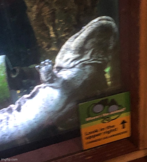 A cool picture of a crocodile from a trip to the zoo from a year or two ago | made w/ Imgflip meme maker