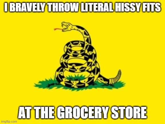 Gadsden Flag | I BRAVELY THROW LITERAL HISSY FITS; AT THE GROCERY STORE | image tagged in gadsden flag | made w/ Imgflip meme maker
