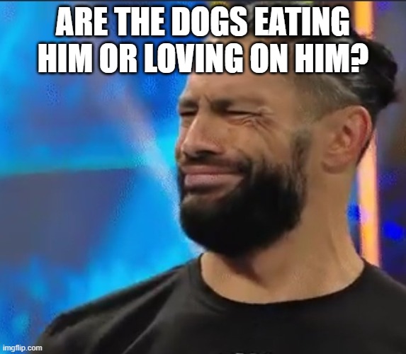 WWE Confused Roman Reigns | ARE THE DOGS EATING HIM OR LOVING ON HIM? | image tagged in wwe confused roman reigns | made w/ Imgflip meme maker
